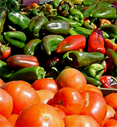 Italian agriculture food manufacturing suppliers, Italy agriculture wholesale Italian vendors and beverage manufacturing companies to the USA agriculture distribution vendors and mall market industry.. Share your industrial agriculture products manufacturing with the worldwide distribution market... Italian agriculture manufacturing suppliers industry to the wholesale industrial agriculture distribution in China, United States, Italy, Germany, England, Ireland, Japan, Taiwan, Saudi Arabia, UAE, Brazil, Argentina, Peru, Venezuela, Mexico, Uruguay, Bolivia... Italian Business Guide your agriculture manufacturing suppliers source...