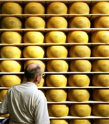 Italian Cheese and mozarella food manufacturing, Italian food suppliers, Italy agriculture products, olive oil, pasta, maccaroni, penne, spaghetti, farfalle, milk, frozen food, prosciutto, flour, bread, pizza... wholesale Italian vendors and beverage manufacturing companies to the USA agriculture distribution vendors and mall market industry.. Share your industrial agriculture products manufacturing with the worldwide distribution market... Italian agriculture manufacturing suppliers industry to the wholesale industrial agriculture distribution in China, United States, Italy, Germany, England, Ireland, Japan, Taiwan, Saudi Arabia, UAE, Brazil, Argentina, Peru, Venezuela, Mexico, Uruguay, Bolivia... Italian Business Guide your agriculture manufacturing suppliers source...